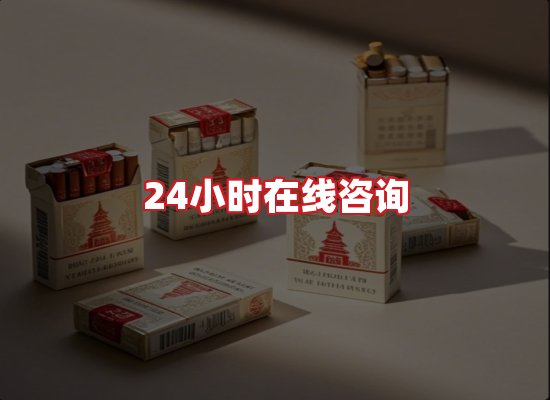 专业团队